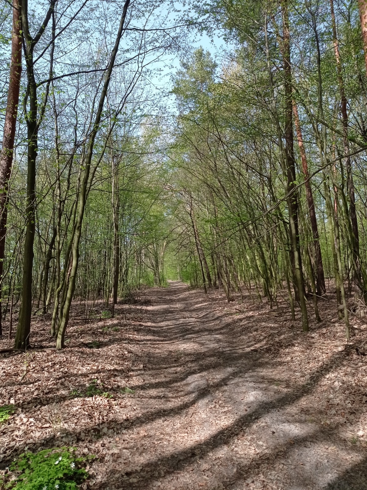 f4f7c00a-5e9f-4cfa-a880-ab145ed314ed