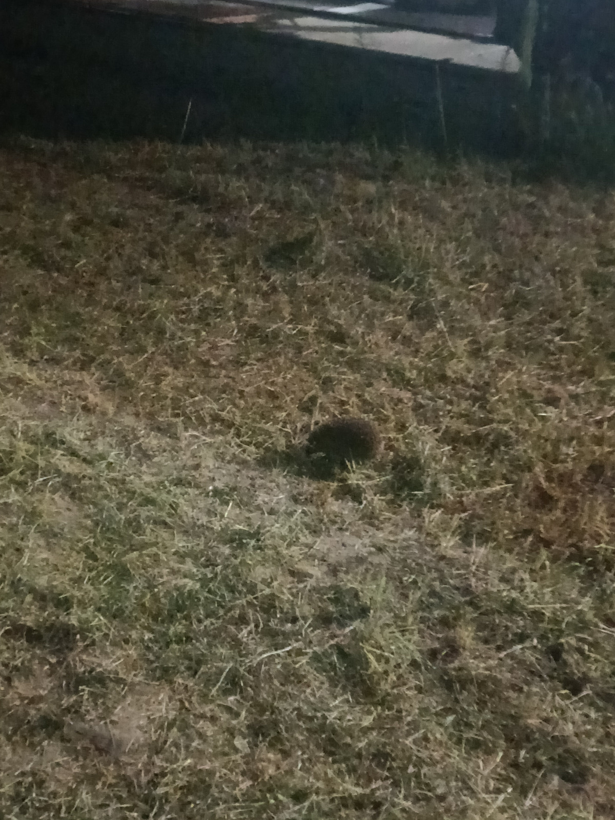 89336af4-8b76-474e-a156-099df2540889