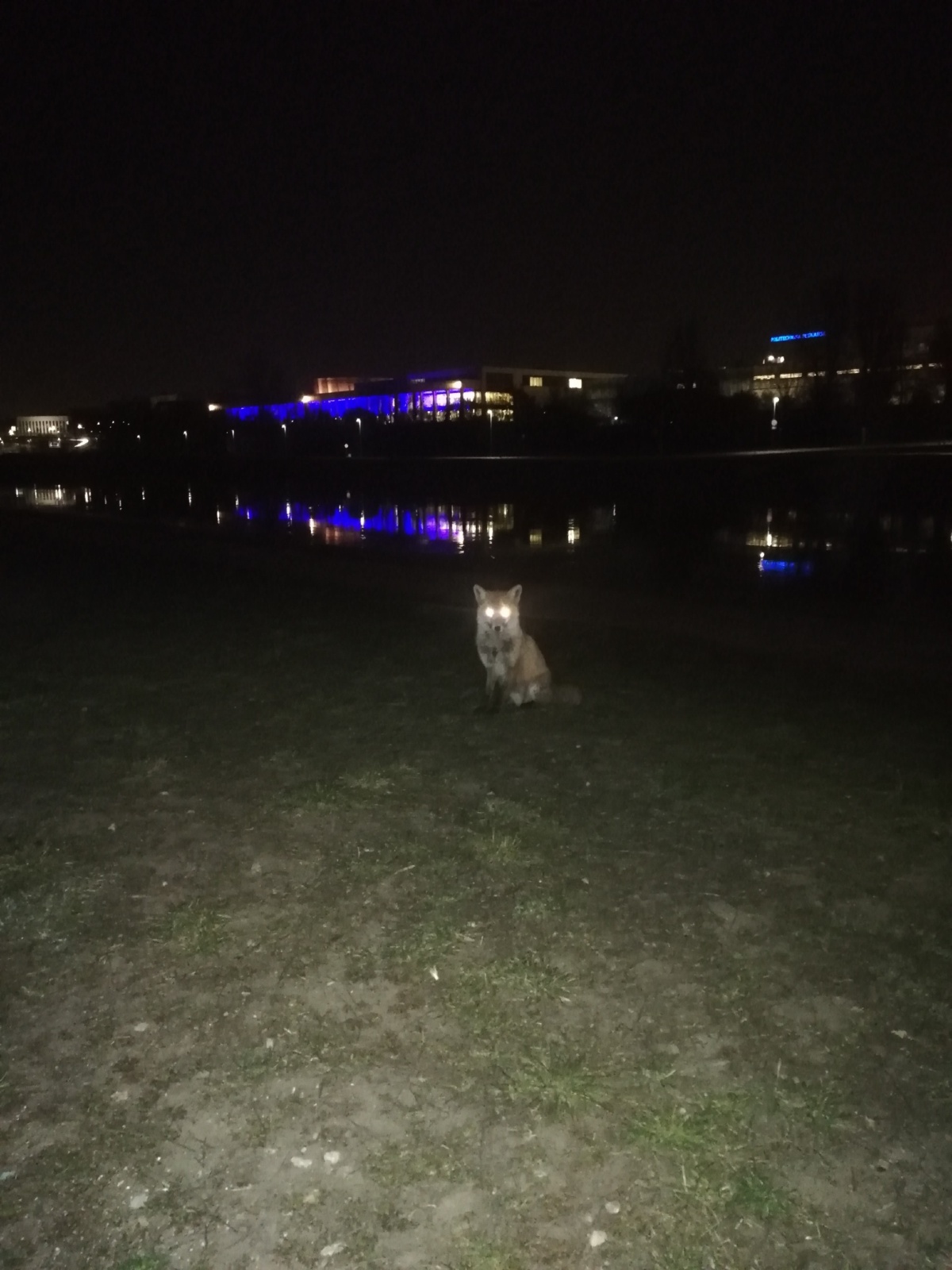 c3d74dfd-6533-4c26-a786-b47e71f3d1d4