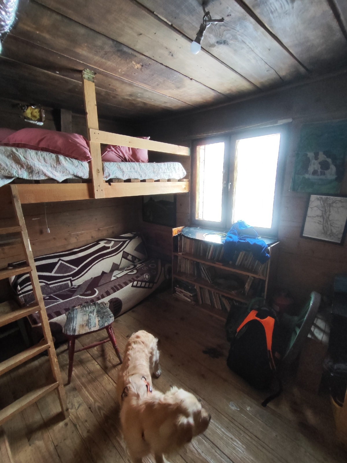 c2d7c49f-ce02-46a2-aaa7-b6875c2904a1