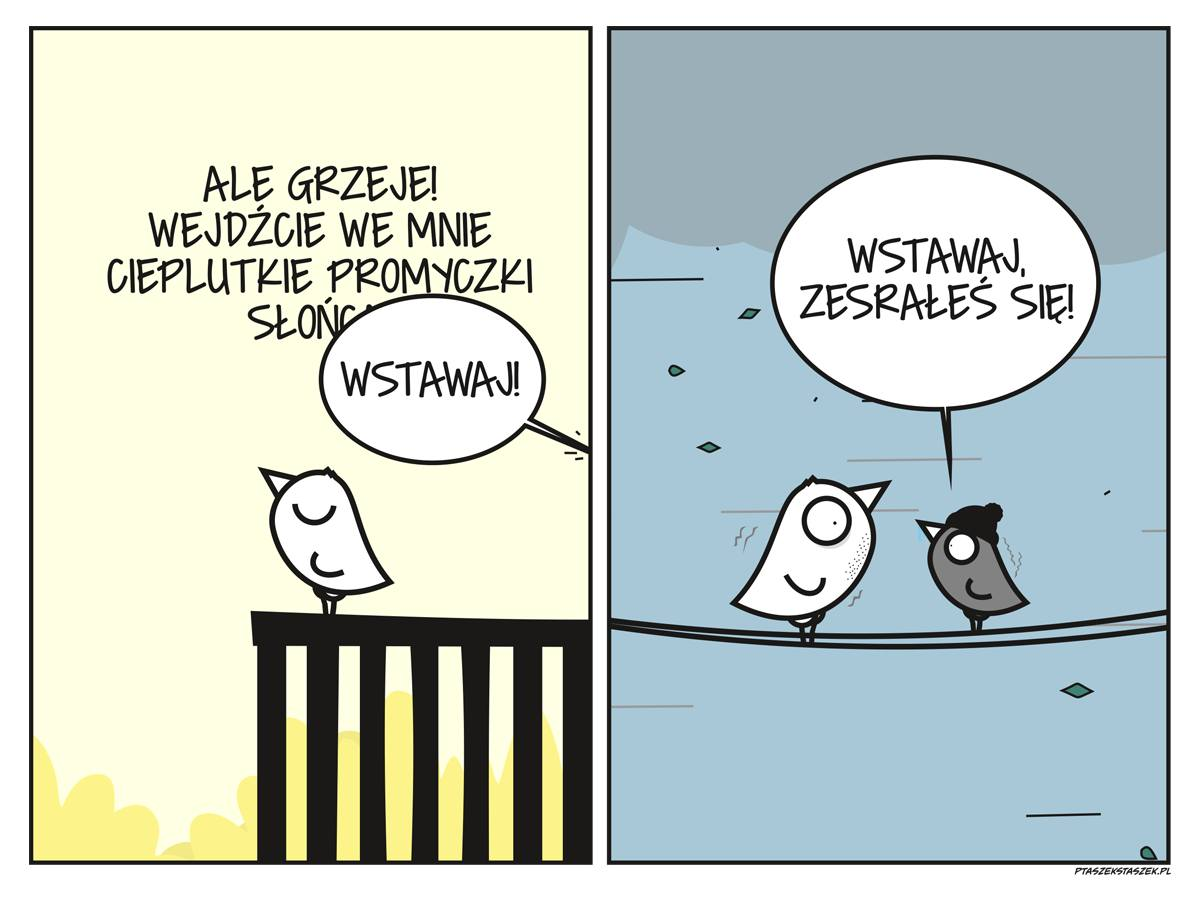 95fcedd2-815b-410a-a05c-cb3a8b4422c8