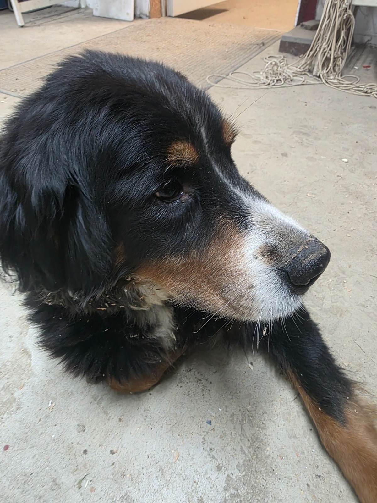 a7167c92-90d5-4e68-9c5b-92a7ab0cae40