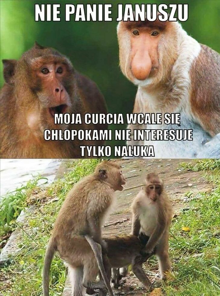 9b98490f-ba5a-4149-b5a9-12be6abe73e7