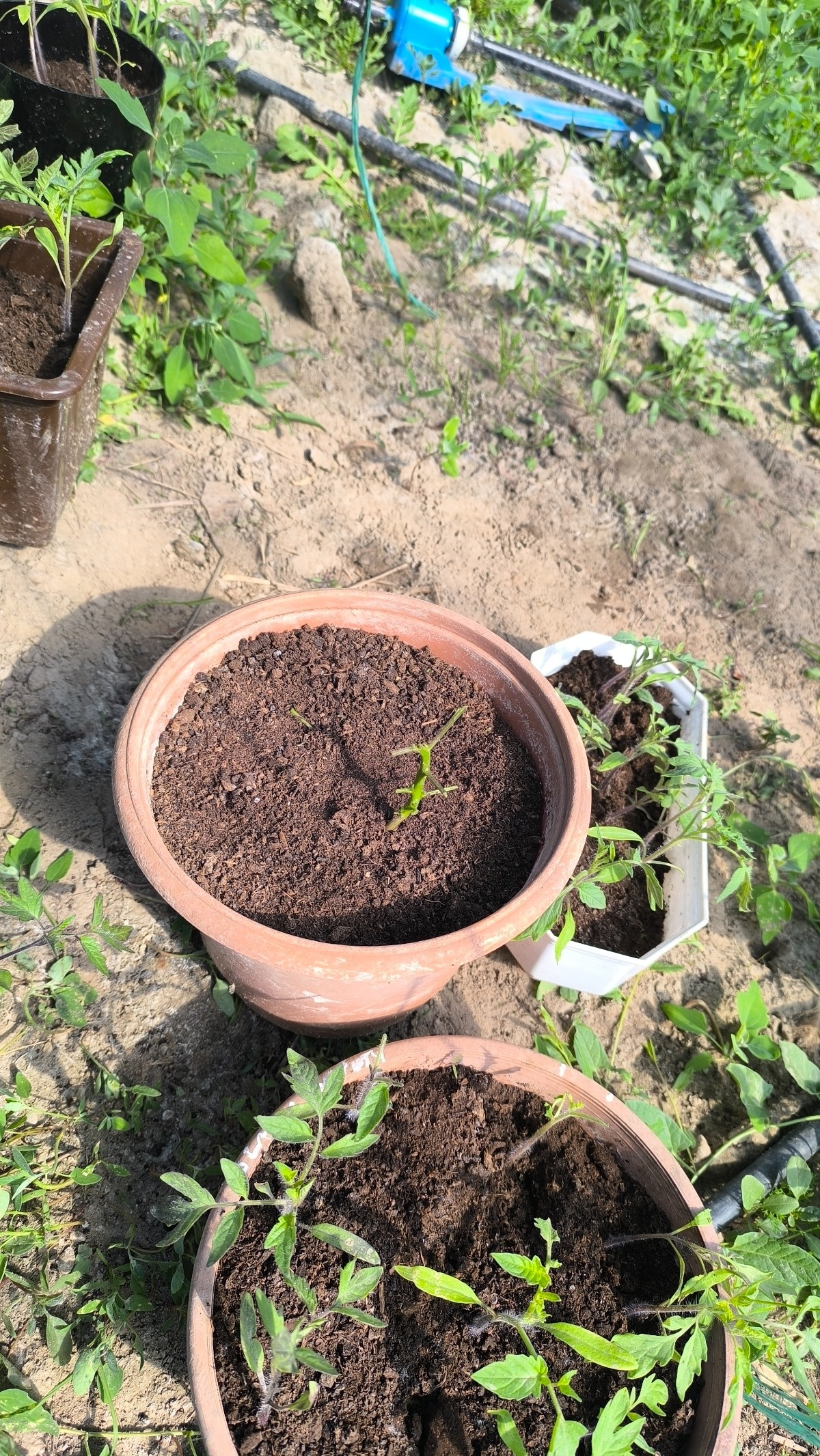 1022994e-934d-4b11-b4c5-5b5f4b3e17bb