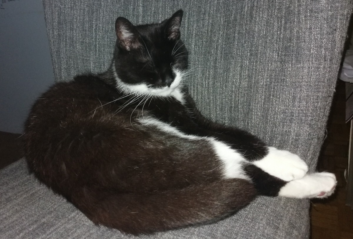 781c6e6a-b4f3-4306-8177-ab185ffbe38a