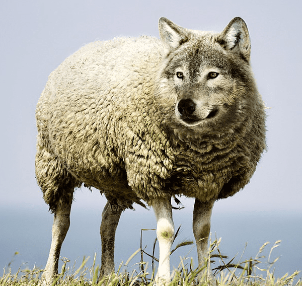 90095f93-c323-4369-b230-fc2cd988c489