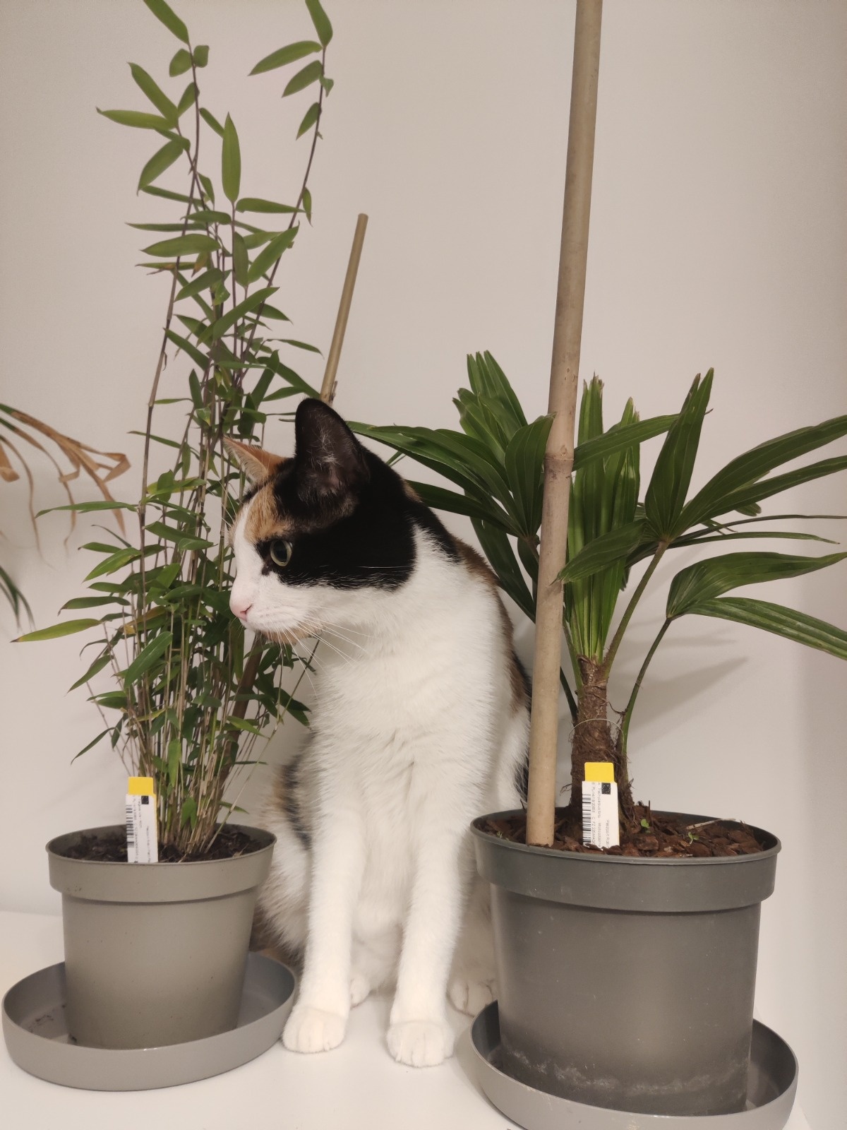 829d65d1-677f-4814-bfde-b88dd691ca90