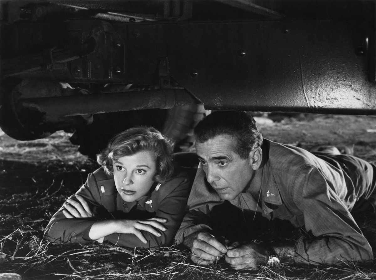 d62ae6df-959a-4c8e-b9e3-dbd8adc16b8a