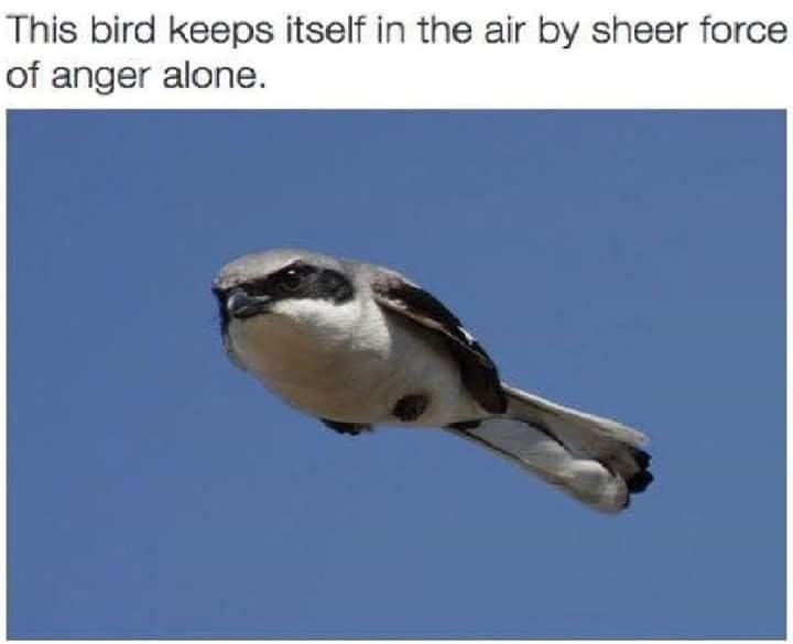 55e5f843-c414-438d-aa2c-878c1d9b4a9e