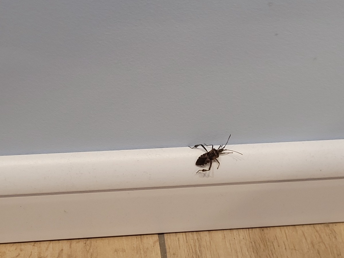 8aa18eec-4ec7-4a76-8166-1f5b2cb1d5e8