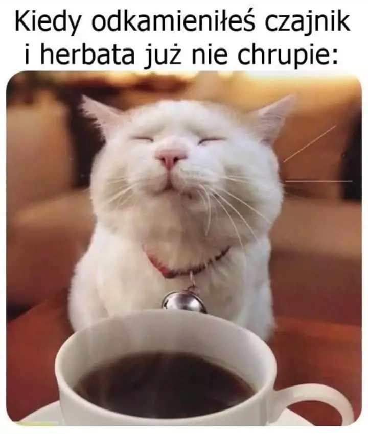 27dde980-f574-4c60-b76c-3450b0b7c3b5