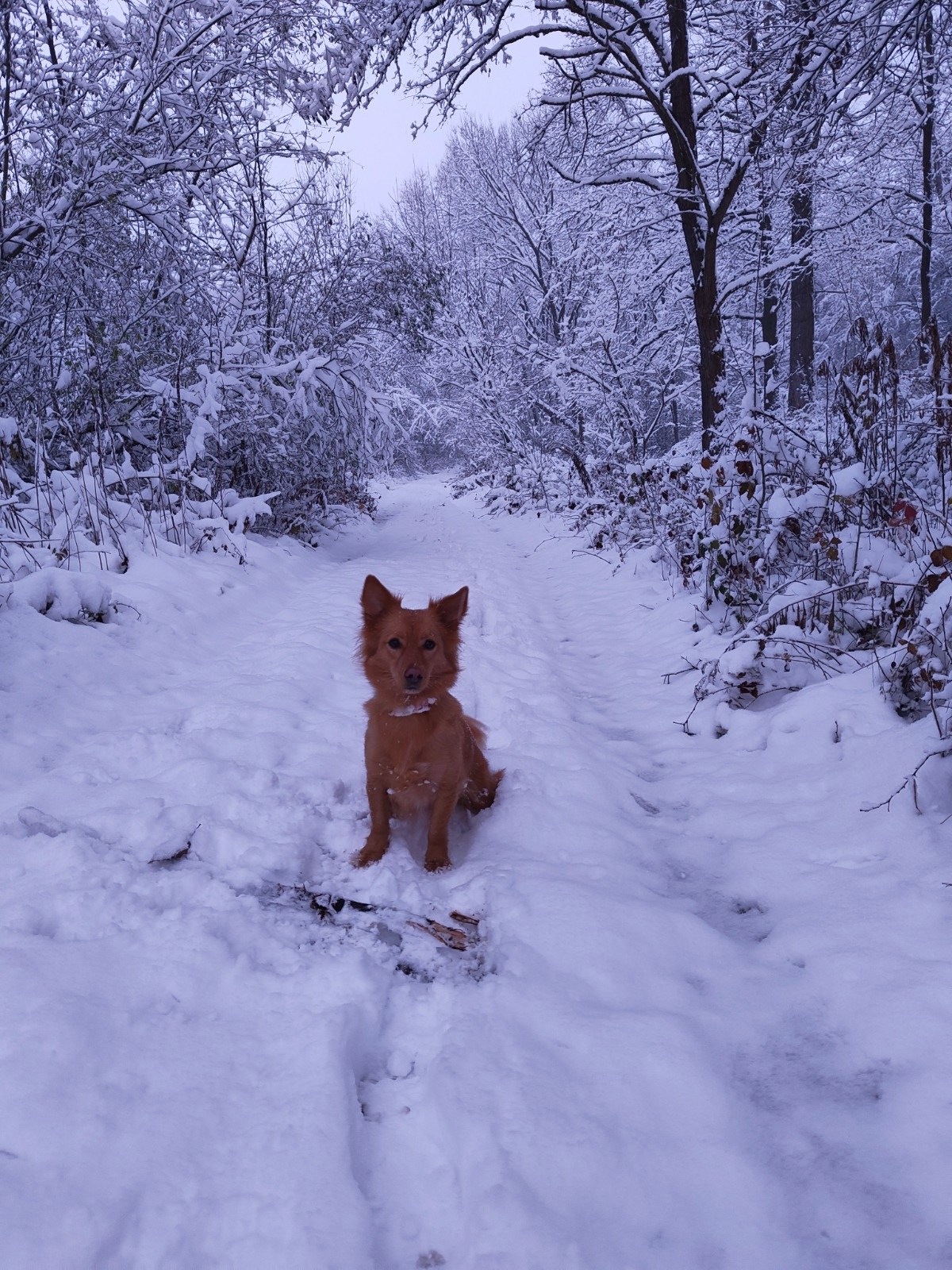 68b1d9b5-168d-4cd8-b05a-aaee29d2be23