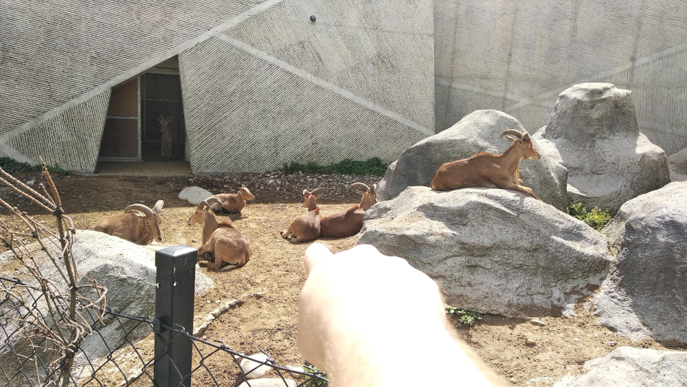 f32b2bd2-2090-41ac-bc9f-26b9376002f4