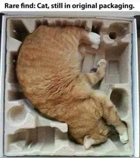 0091b36f-83d0-4615-ba32-51f80c505d66