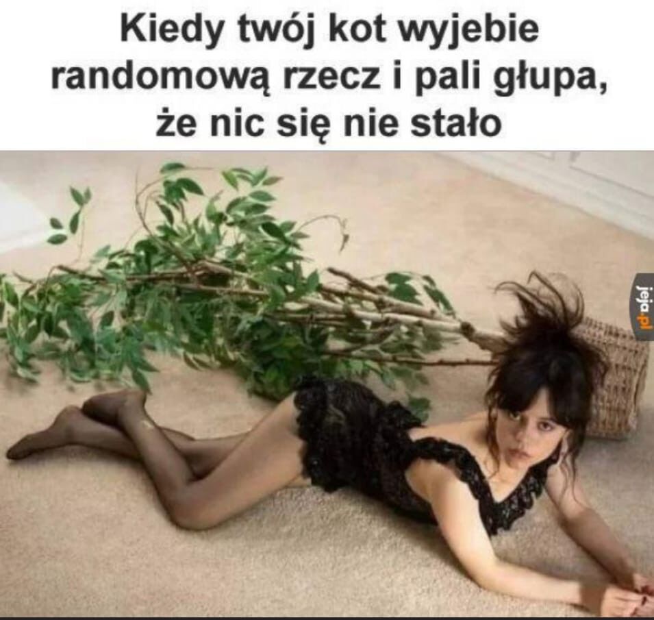 9b5650e3-740d-4e0a-b530-2f52fe740377