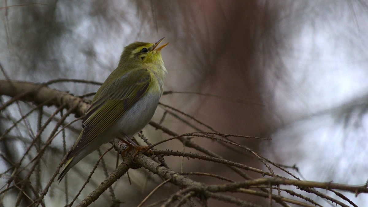 fb464211-f62b-4676-ba64-24e3fa6d5805