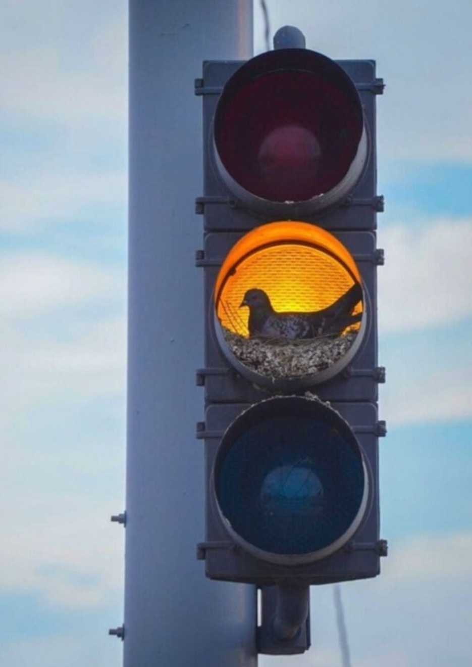 f3cd854f-3546-43fe-9364-226a4b4d26fa