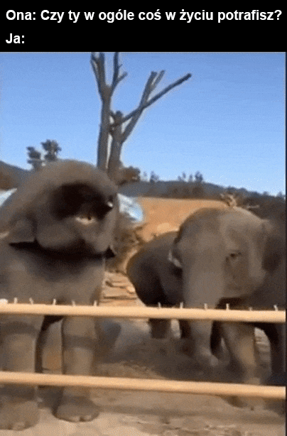 68ee9810-3277-4c16-866c-d57a6858b933