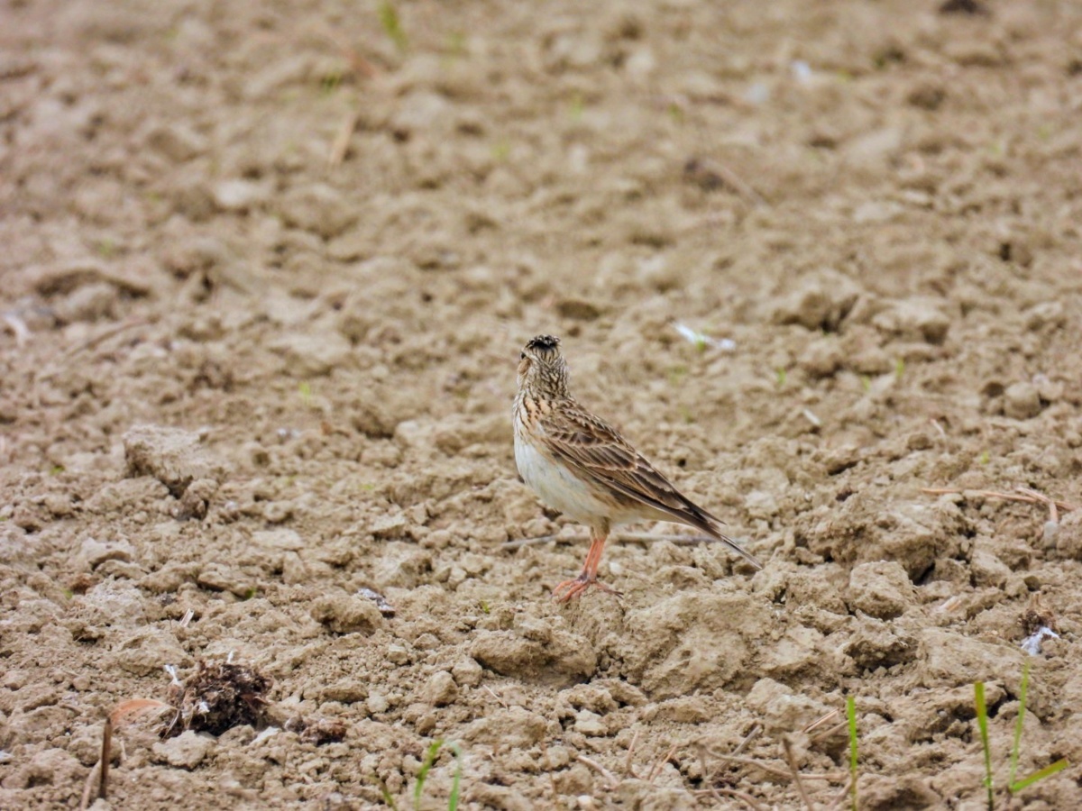 bf69279d-6945-46e0-a70c-fc52fbfeaa27