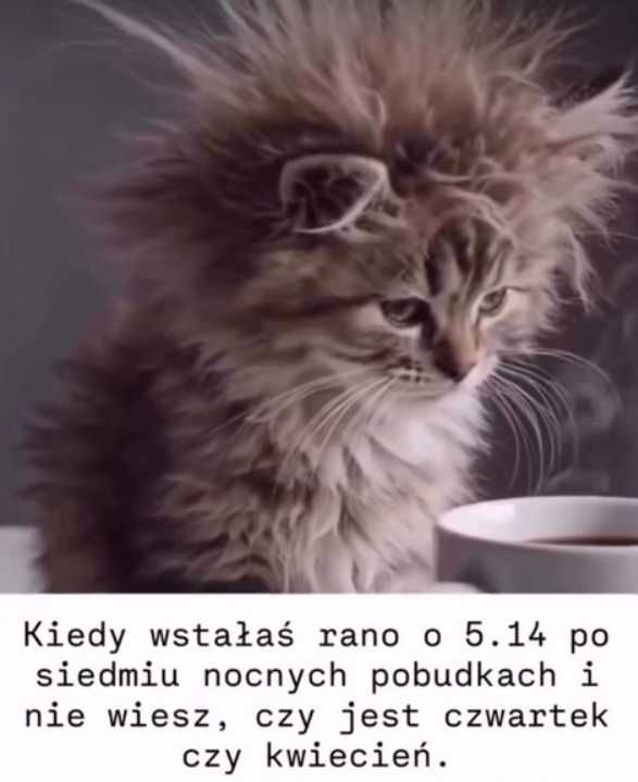 8ff4d740-d041-4b88-98d1-bdd1d43c25b3