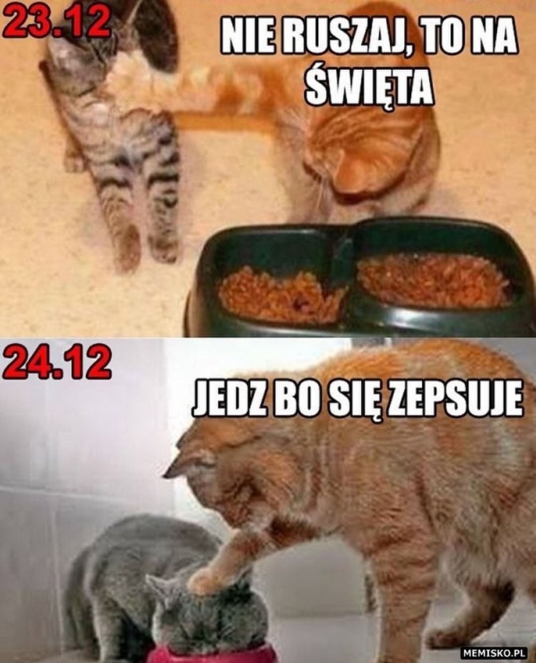 97bb12ca-075b-4be4-9b76-bf73b3fac061