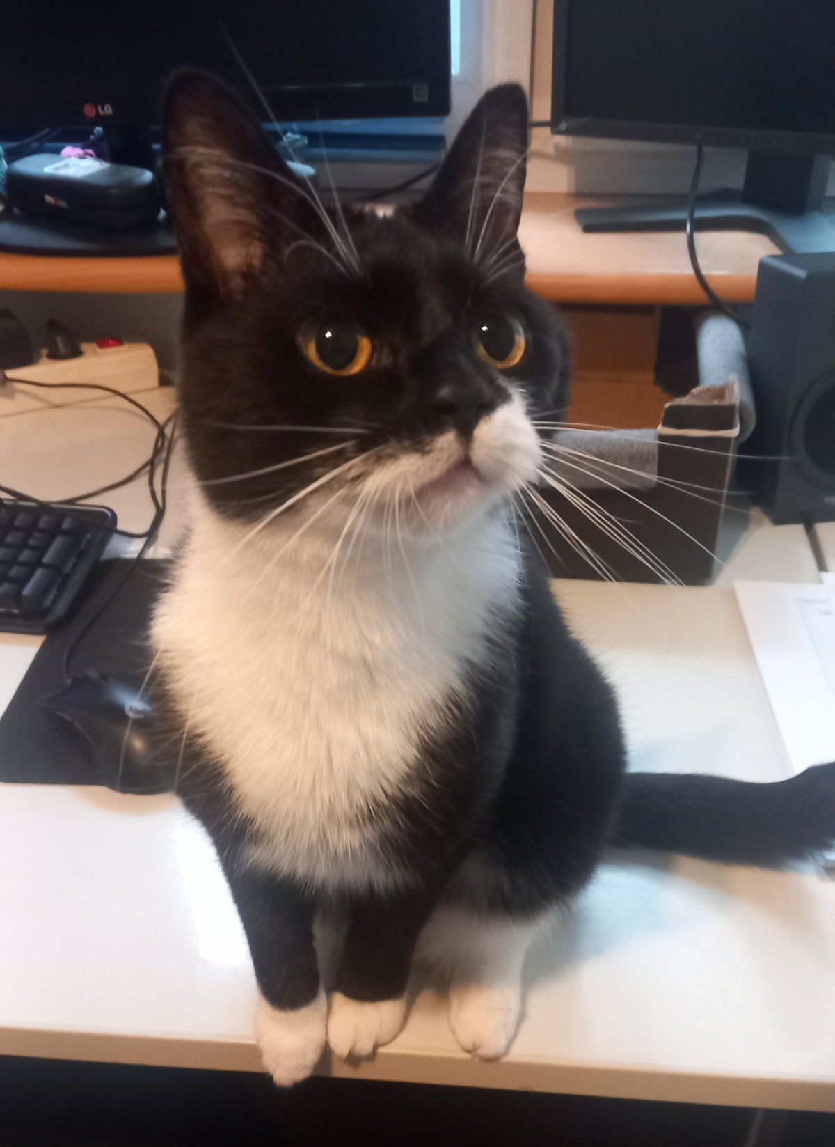 d87027e2-837d-4d8c-9f5e-58e8c06b4137