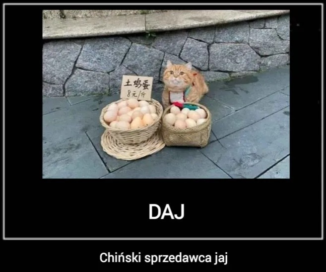 ba840234-e4e4-40ff-9605-42bea53c549a