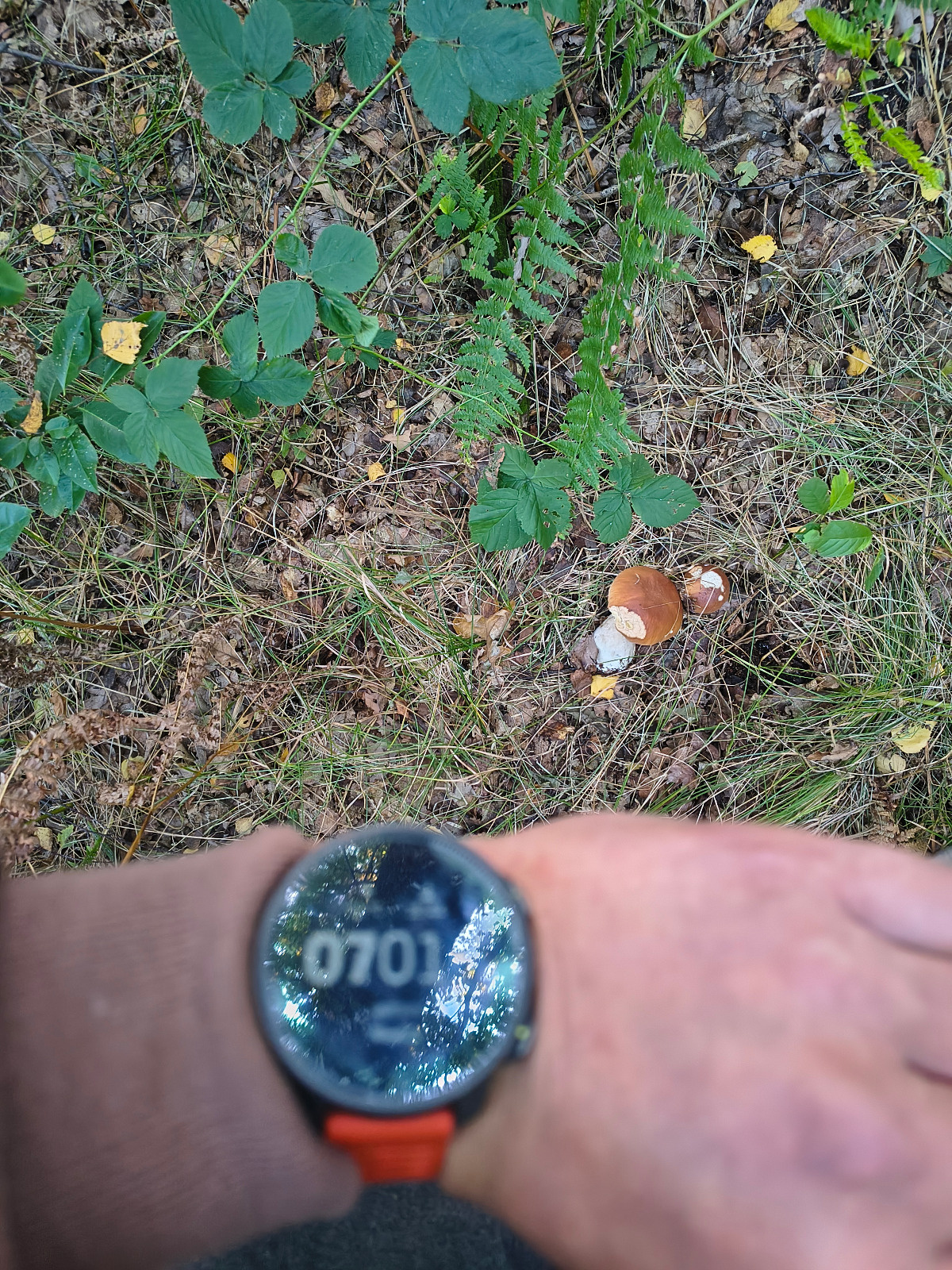 2a7acb74-93d5-48d3-87c0-abb7b2e0f457