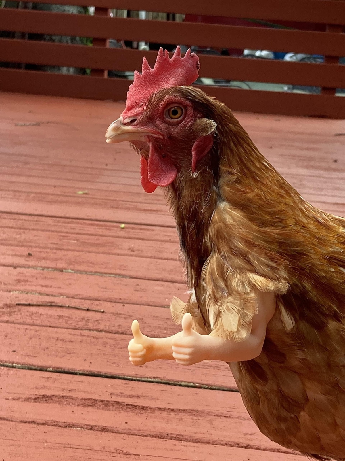 9d421ec0-c71a-4f29-8392-52295a622619