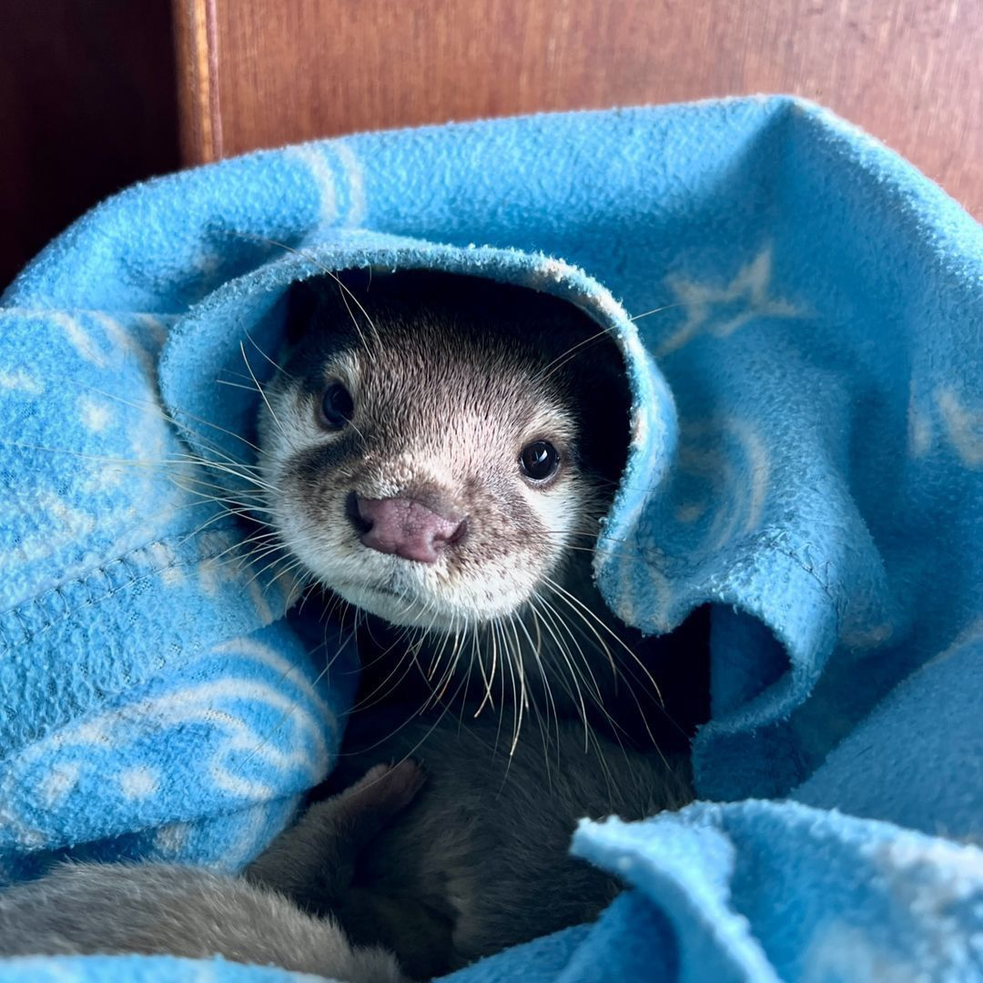 981b6764-5856-40d8-99fb-c76c441933ef