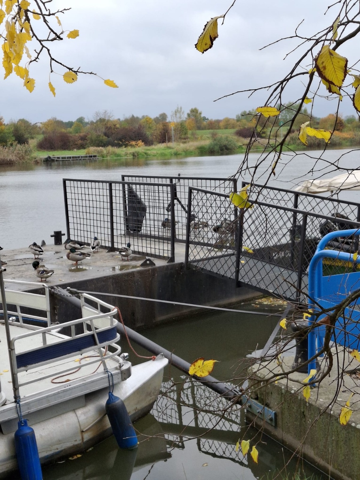 d8fc692d-ea46-44bb-aa3e-1d6f0397e6c9