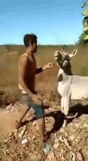 bc077b6f-faec-4b76-9b92-4d1e73ca2608