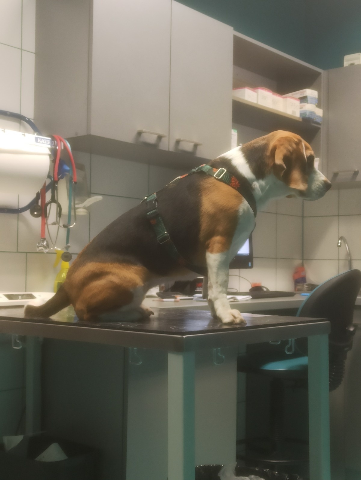 40f7ca02-c853-4b28-9618-1609994ce3f4