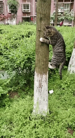 5e790d41-6642-43e4-9dba-34e6b852b188