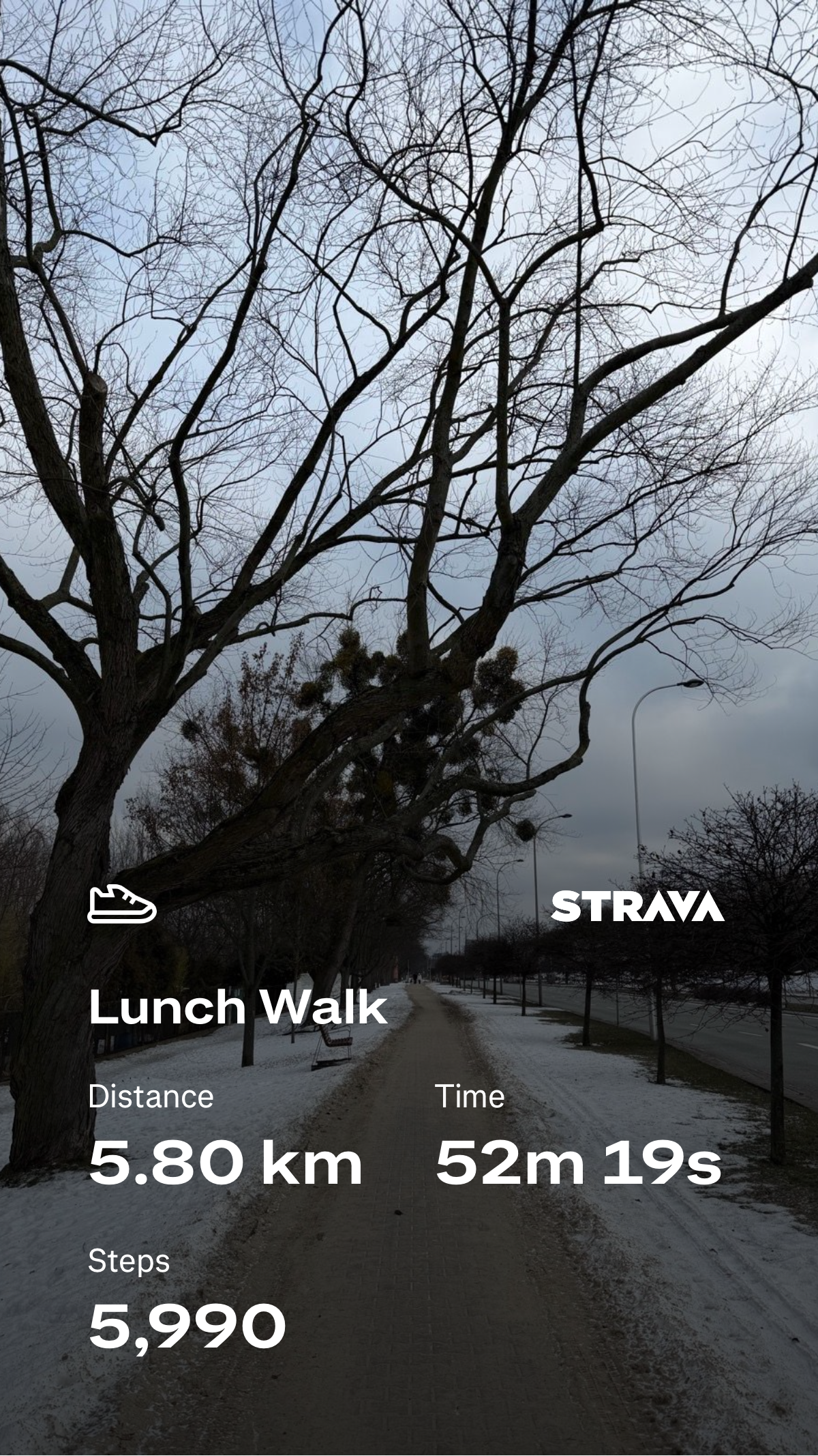 2c0fa403-fcab-4448-a855-b0280dbe995c