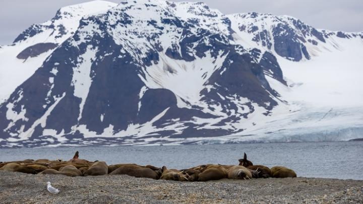Studenci zakończyli warsztaty w ramach 30 wyprawy badawczej UAM w Arktyce