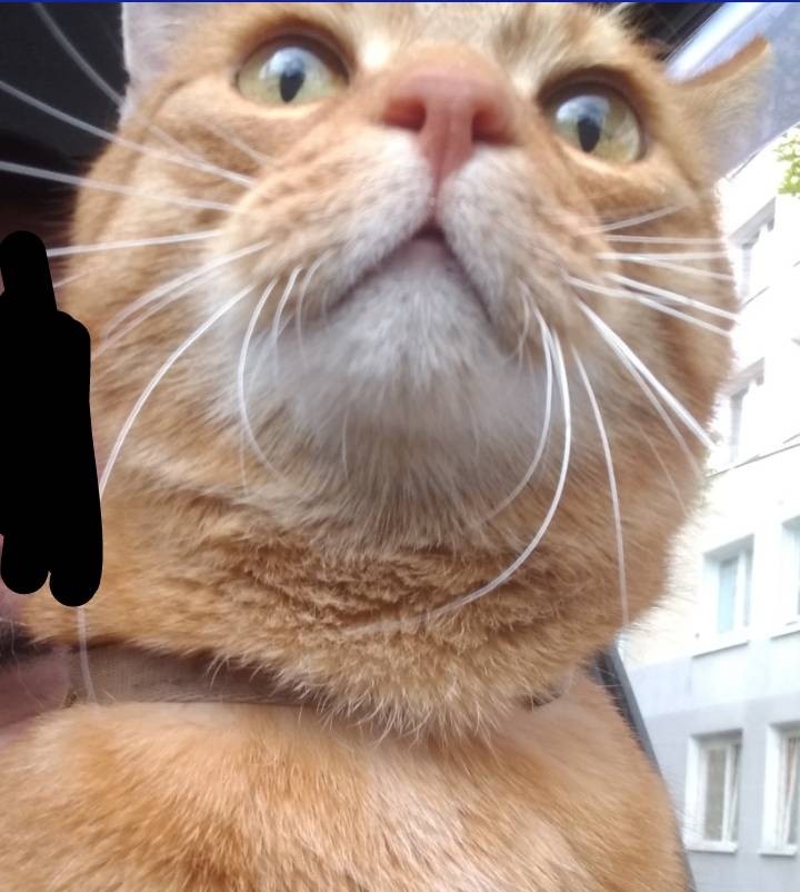 704809b9-e3b8-4a18-9fc6-9f32db9a723a