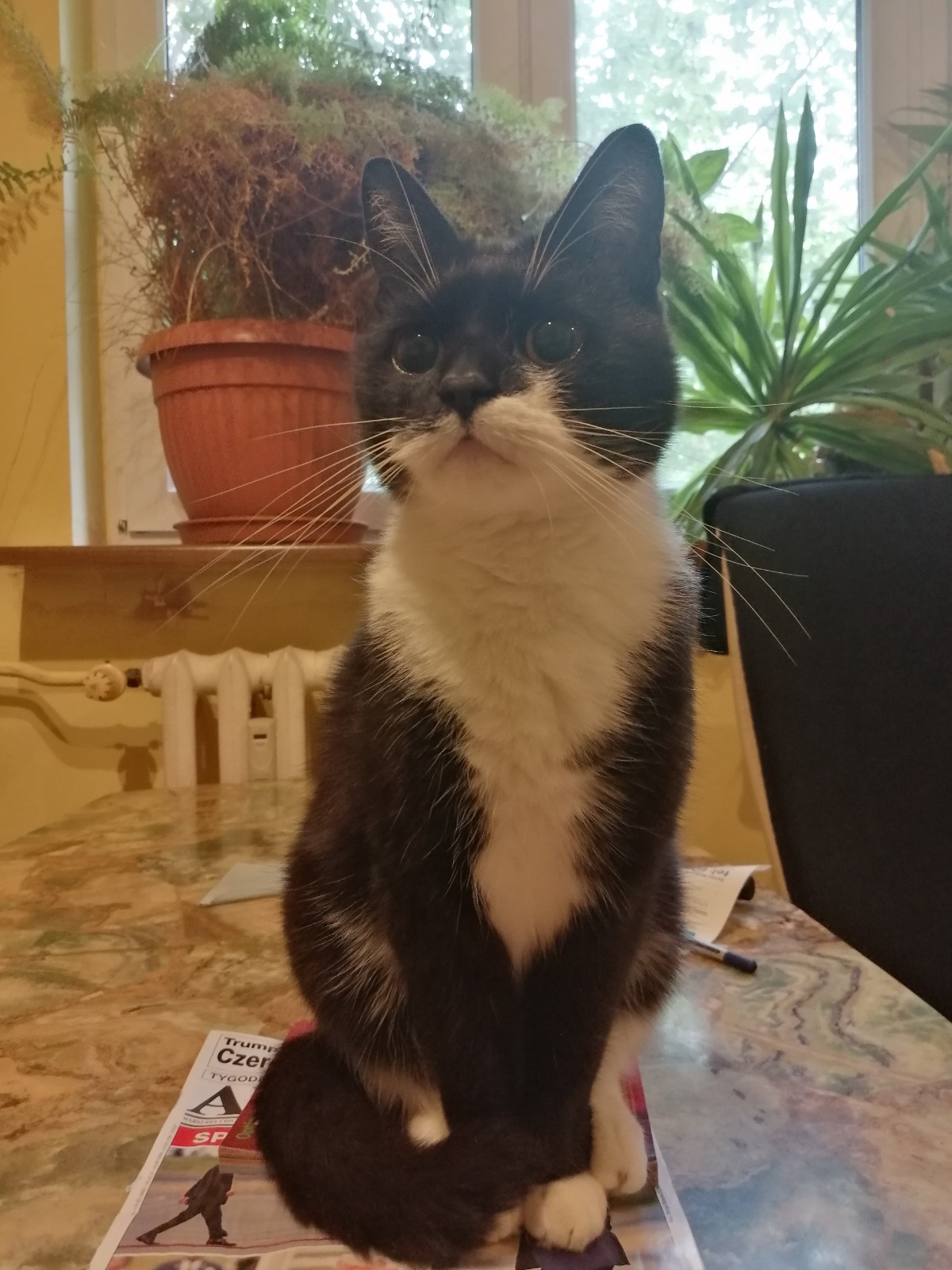 233bf361-61fa-4196-af56-850fe1011e82