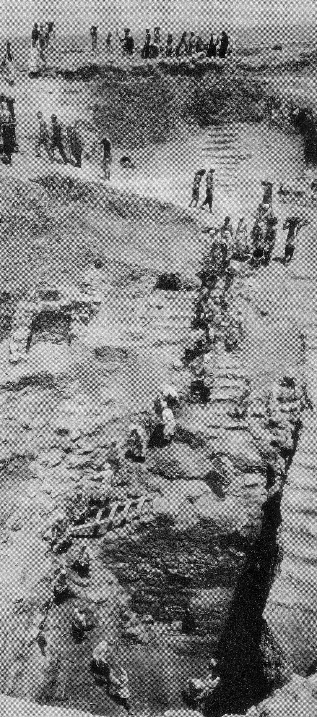 d7d53514-ec57-48c2-9046-924a7d568c7e