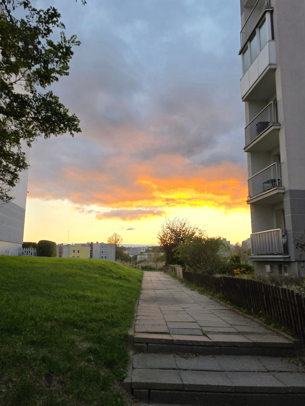 d7012736-5070-4e44-8840-9d60dbd06290