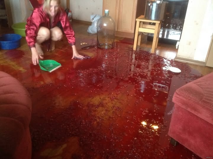 366954bd-e4a6-4d7e-8a00-d41dc722307e