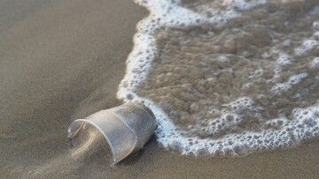 3 lipca wchodzi "Dyrektywa Plastikowa". Koniec z jednorazowymi naczyniami