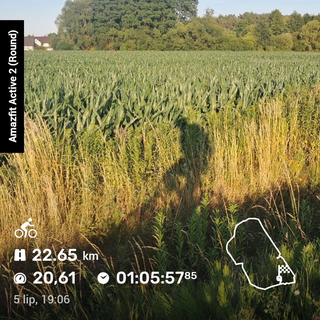 cf5d57d8-273f-4d7e-8441-e72f3f250ab6