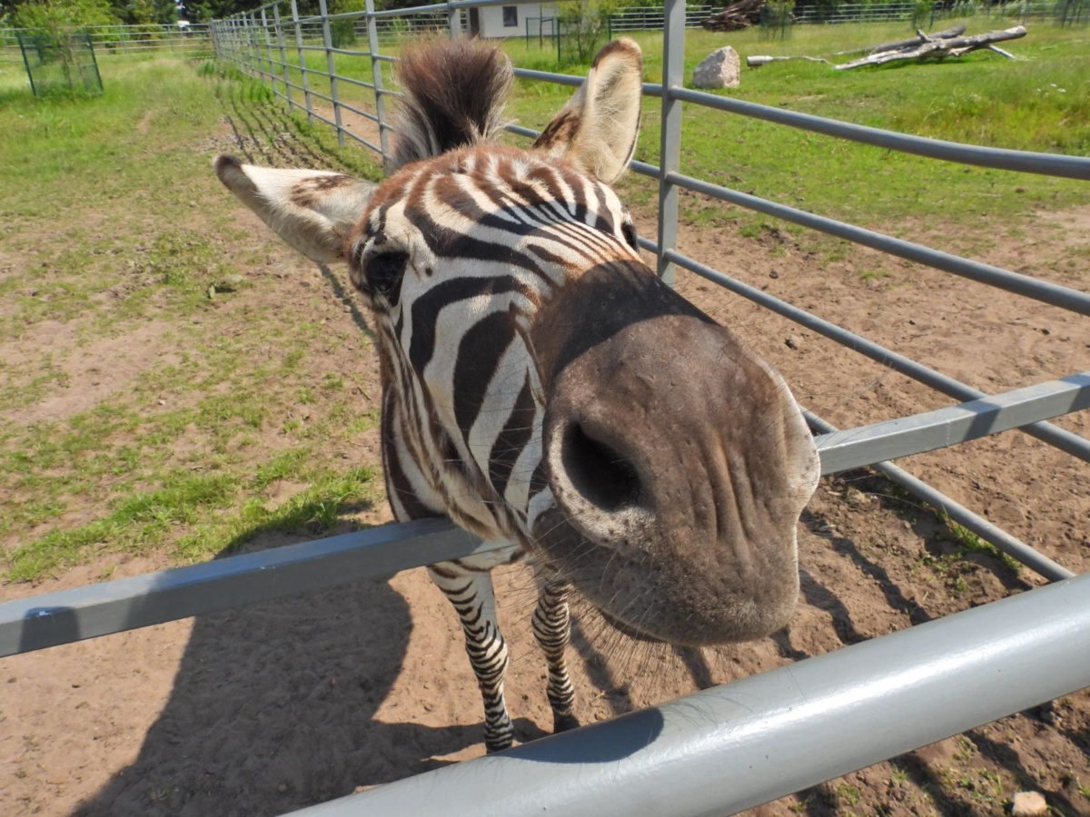 0c503b81-42b4-4e89-867c-f77577e92156