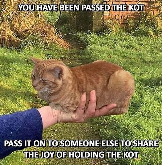 00ad1273-abd5-4d78-b701-ebca0541c45a