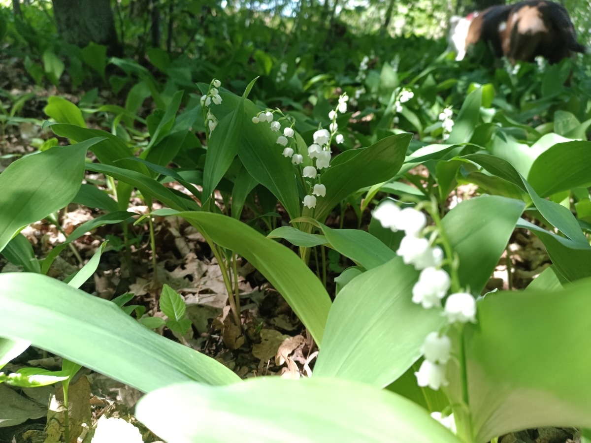 cb15ab41-0464-40f7-9a7e-c18e762b3d74