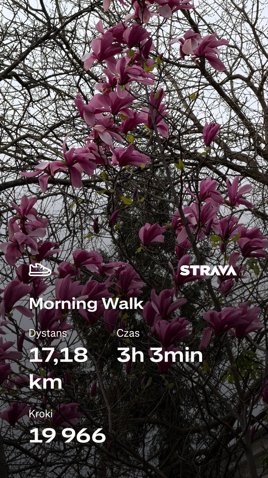 a7095be3-b342-42b9-84d1-fe5b54a5f354