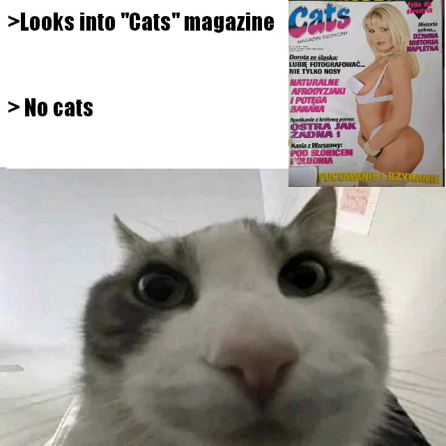 282e79b0-1d4c-4009-a027-9a0c6f1a4fb6