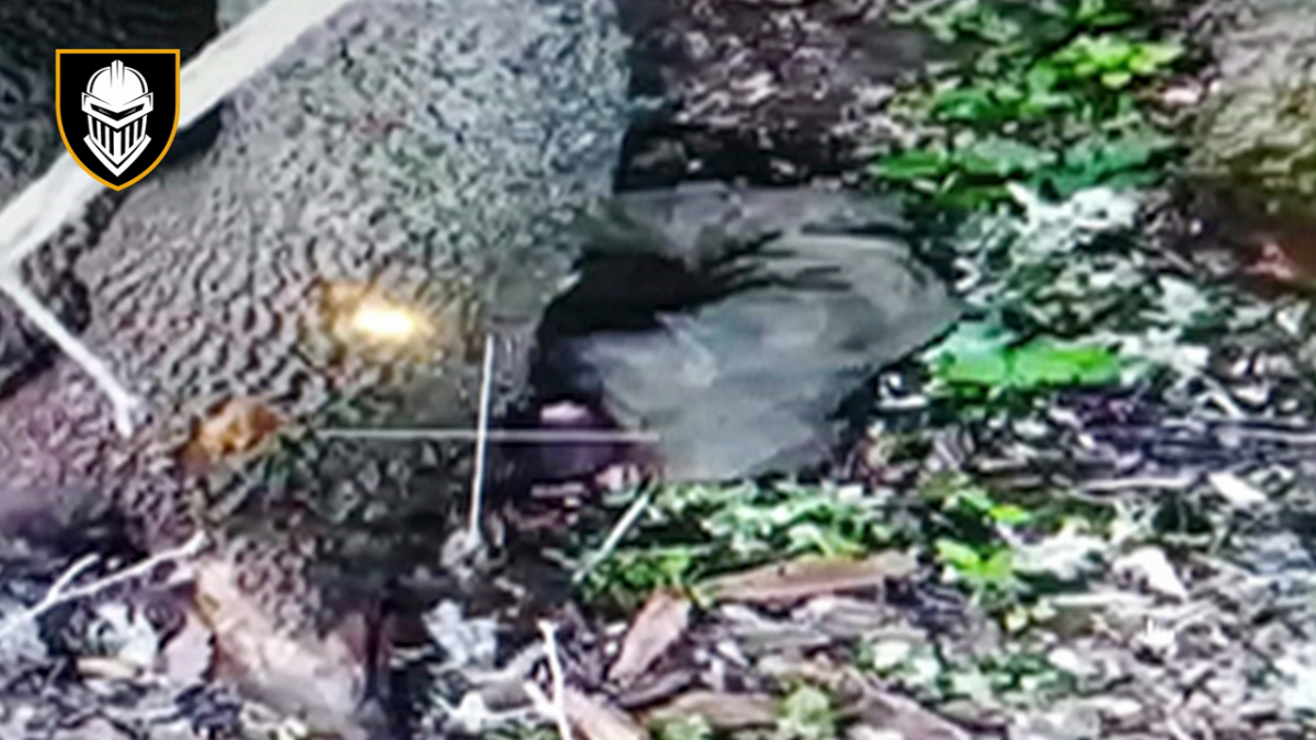 97d9e44b-c063-4797-8218-99ece7531823