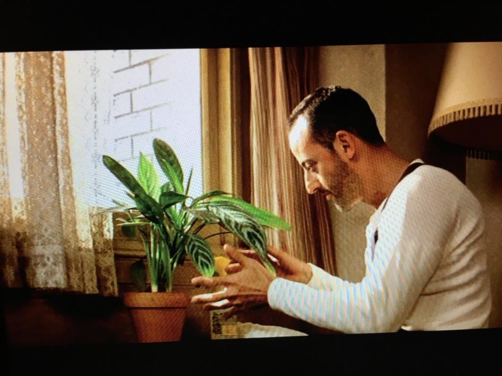 71a00aa5-2c0b-4667-b276-83ed782f7a80